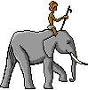 elefanti 165