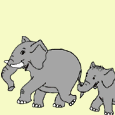 elefanti 200