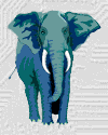 elefanti 233
