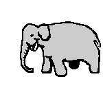 elefanti 281