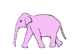 elefanti 318