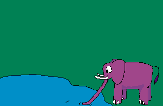 elefanti 345