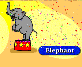 elefanti 354