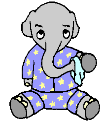 elefanti 366