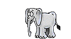 elefanti 397