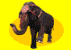 elefanti 40