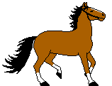 equini 142
