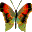 farfalle 120