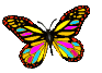 farfalle 153