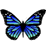 farfalle 294