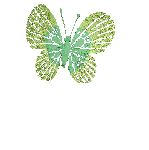 farfalle 306