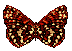 farfalle 35