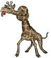 giraffe 16