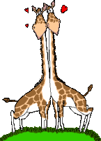 giraffe 39