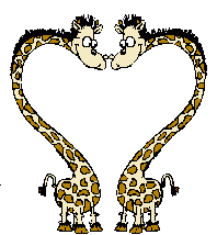 giraffe 53