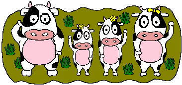 mucche 174