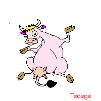 mucche 181
