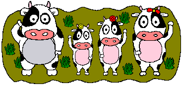 mucche 249