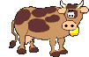 mucche 251