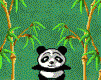 panda 22