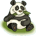 panda 40