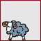pecore 105