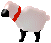 pecore 109