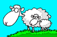 pecore 30