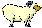 pecore 46