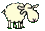 pecore 5