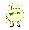 pecore 57