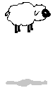 pecore 64