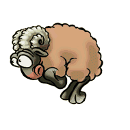 pecore 73