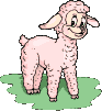pecore 80