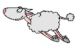 pecore 91