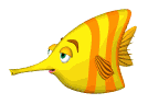 pesci 168