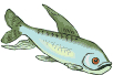 pesci 259