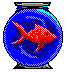 pesci 262
