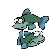 pesci 334