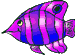 pesci 364