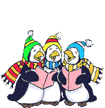 pinguini 100
