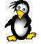 pinguini 116