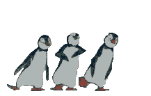 pinguini 140