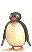 pinguini 161