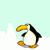 pinguini 24