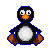 pinguini 27