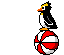 pinguini 29