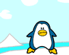 pinguini 53