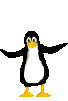 pinguini 69