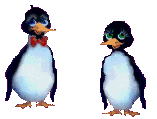 pinguini 79